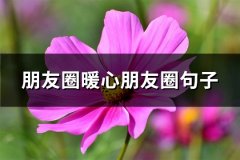 朋友圈暖心朋友圈句子(实用65句)