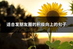 适合发朋友圈的积极向上的句子(精选67句)