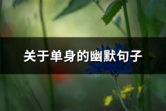 关于单身的幽默句子(精选65句)