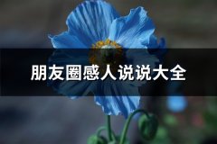 朋友圈感人说说大全(必备67句)