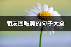 朋友圈唯美的句子大全(精选67句)