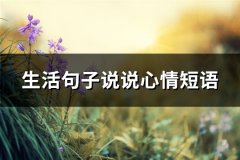 生活句子说说心情短语(汇总66句)