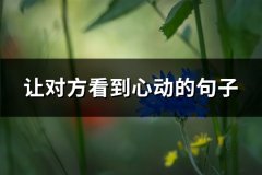 让对方看到心动的句子(71句)