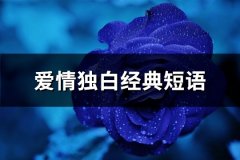 爱情独白经典短语(67句)