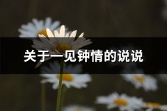 关于一见钟情的说说(汇总75句)