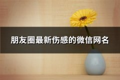 朋友圈最新伤感的微信网名(共250个)