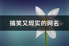 搞笑又现实的网名(优选389个)