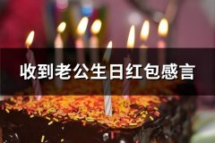 收到老公生日红包感言(精选48句)