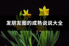发朋友圈的成熟说说大全(推荐67句)