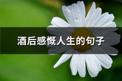 酒后感慨人生的句子(推荐66句)
