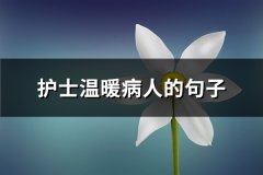 护士温暖病人的句子(优选23句)
