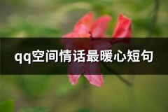qq空间情话最暖心短句(共66句)