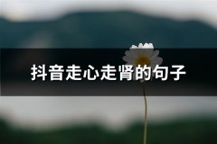 抖音走心走肾的句子(66句)