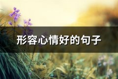 形容心情好的句子(72句)