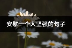安慰一个人坚强的句子(通用65句)