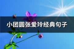 小团圆张爱玲经典句子(优选49句)