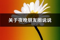 关于夜晚朋友圈说说(精选66句)