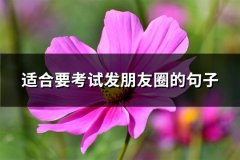 适合要考试发朋友圈的句子(共50句)