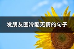 发朋友圈冷酷无情的句子(热门66句)