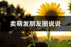 卖萌发朋友圈说说(必备66句)