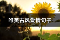 唯美古风爱情句子(优选50句)