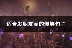 适合发朋友圈的爆笑句子(67句)