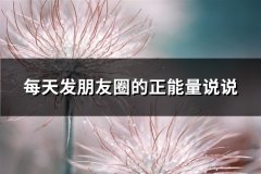 每天发朋友圈的正能量说说(优选65句)