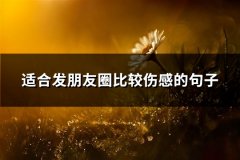 适合发朋友圈比较伤感的句子(热门66句)