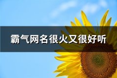 霸气网名很火又很好听(精选683个)