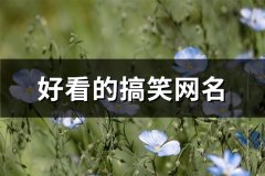好看的搞笑网名(共269个)