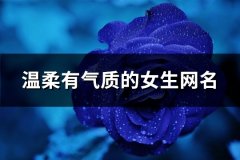 温柔有气质的女生网名(精选518个)