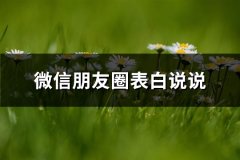 微信朋友圈表白说说(54句)