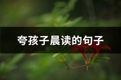 夸孩子晨读的句子(优选29句)