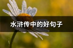 水浒传中的好句子(优选66句)