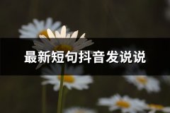最新短句抖音发说说(69句)