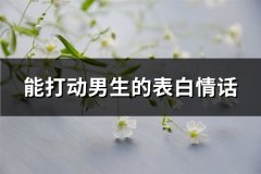 能打动男生的表白情话(汇总65句)