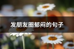 发朋友圈郁闷的句子(67句)