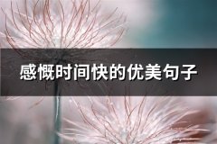 感慨时间快的优美句子(通用44句)