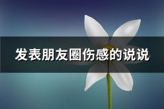 发表朋友圈伤感的说说(必备69句)