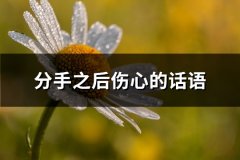 分手之后伤心的话语(必备66句)