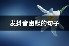 发抖音幽默的句子(必备72句)