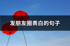发朋友圈表白的句子(热门51句)