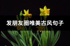 发朋友圈唯美古风句子(精选66句)