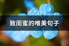 致闺蜜的唯美句子(共66句)