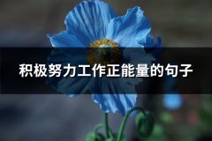 积极努力工作正能量的句子(精选68句)