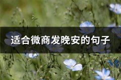适合微商发晚安的句子(共65句)