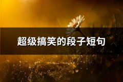 超级搞笑的段子短句(热门69句)