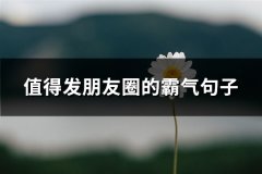 值得发朋友圈的霸气句子(推荐66句)