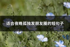 适合夜晚孤独发朋友圈的短句子(汇总66句)