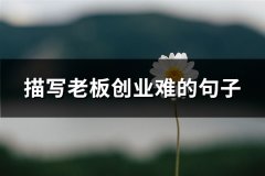描写老板创业难的句子(汇总48句)